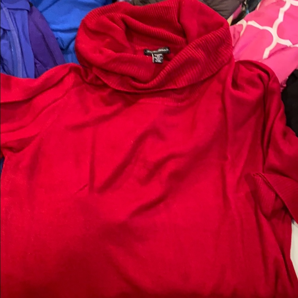 Turtleneck Sweater